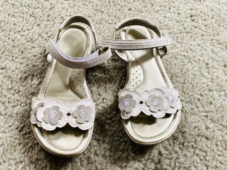 BB2C1CEF-B58D-41B5-AC7C-6C04085D6E2D_1_201_a